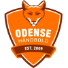 HC Odense Damer
